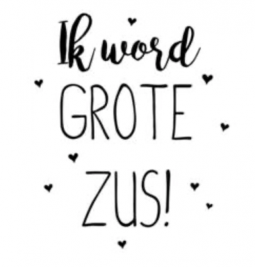 Schermafbeelding 2021 05 21 om 220355